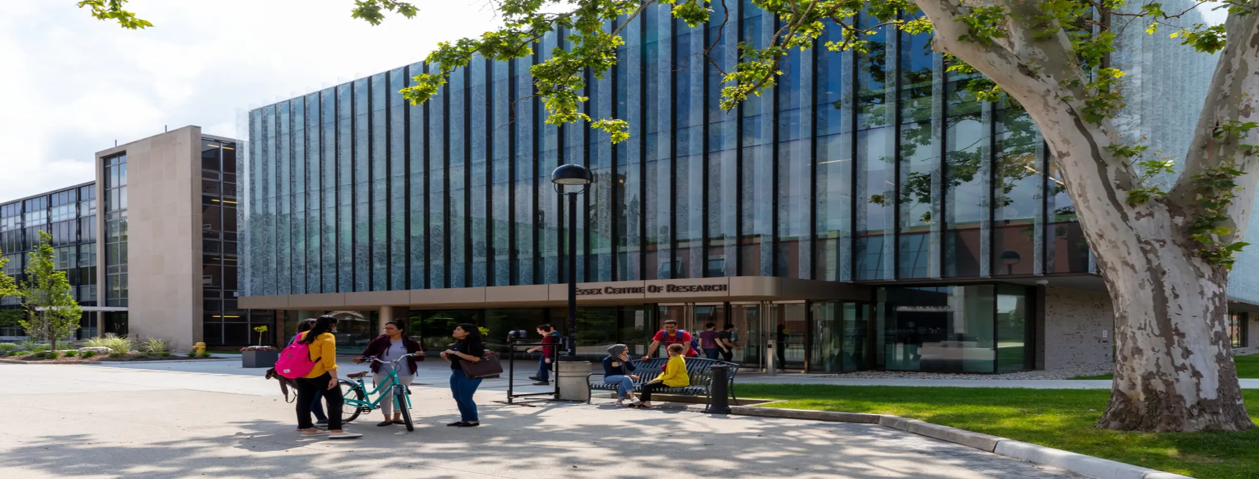Image for University Campus Tour